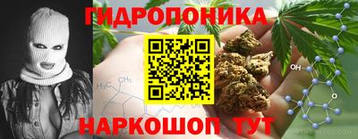 крисы Будённовск