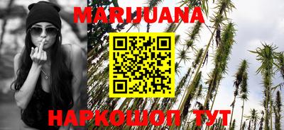 крисы Будённовск