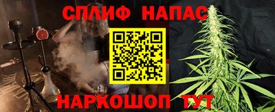 крисы Будённовск