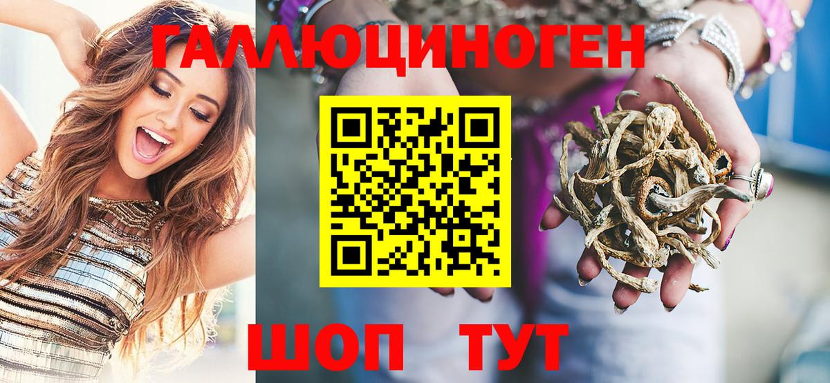 Галлюциногенные грибы Cubensis  Вход с VPN  Находка  Псилоцибиновые грибы прущие грибы 
